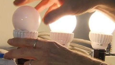 Are LEDs the light bulbs of the future?