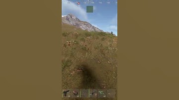 never trust randoms in rust #rust #gaming #rustgame #funnymemes #rustconsole #funnyimages #funny