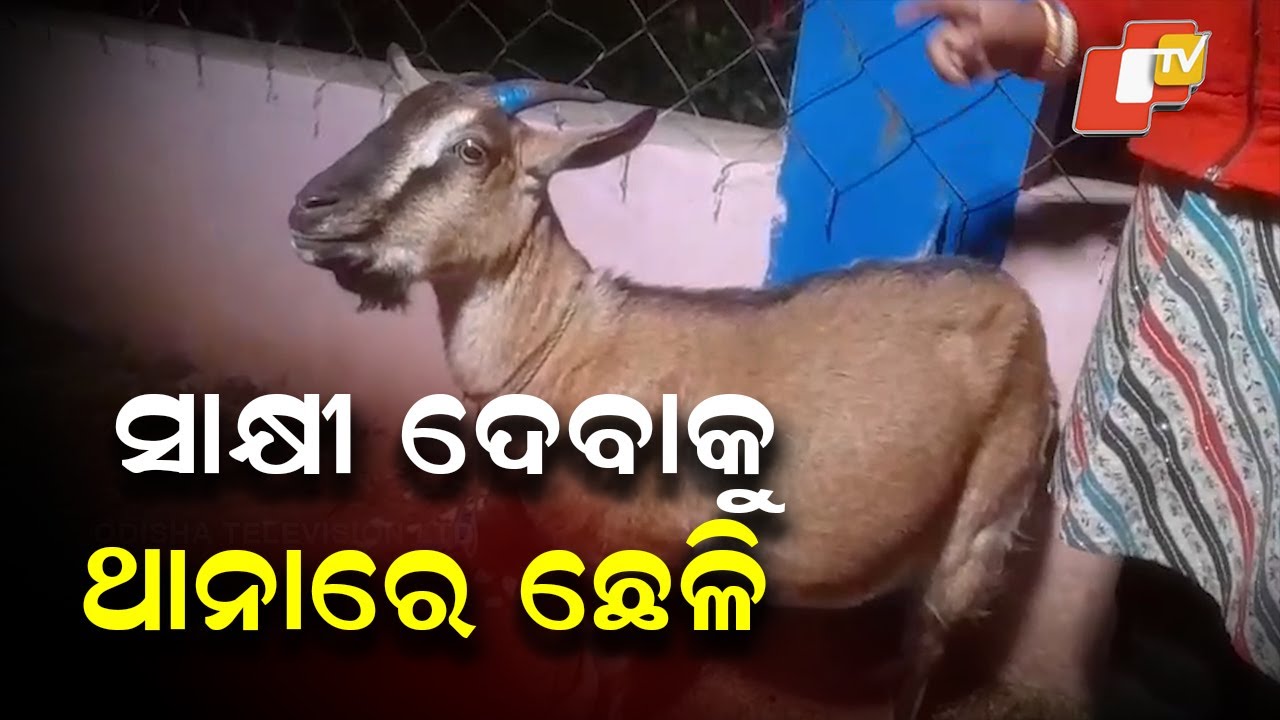 Girl Arrives at Nilgiri Police Station to Give Witness for Another Girl