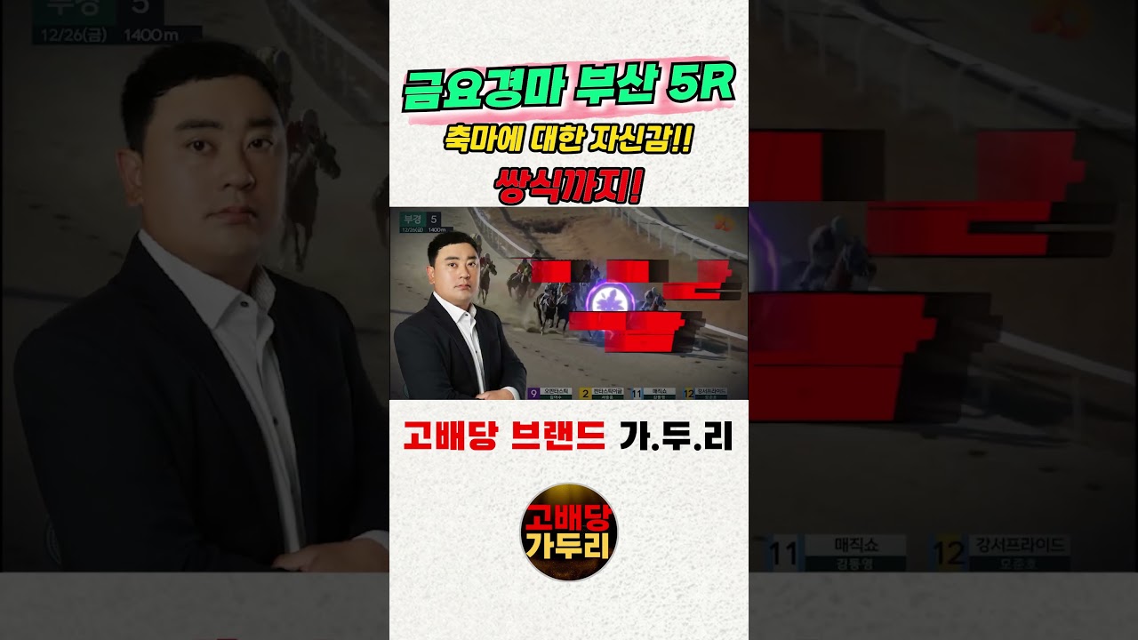 고배당 마필이 궁금해???🎯경마🟢 경마 고배당🟢 서울경마🟡부산경마🔵제주 경마