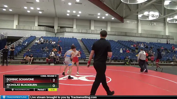 132 Lbs Cons. Round 3 - Dominic Schiavone, IL Vs N...