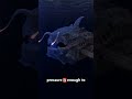 The Terrifying Truth About the Deep Ocean 🌊