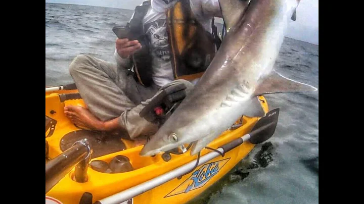 Kayak Fishing Offshore; Crazy Shark Attack  |   Sh...