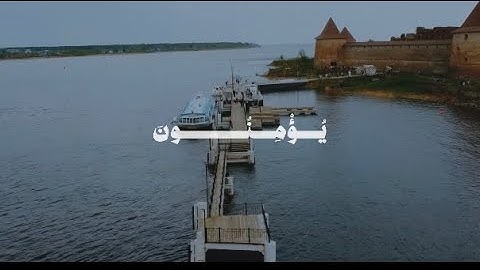 لَا يَسْتَأْذِنُكَ الَّذِينَ يُؤْمِنُونَ بِاللَّهِ | محمد صديق المنشاوي | سورة التوبة