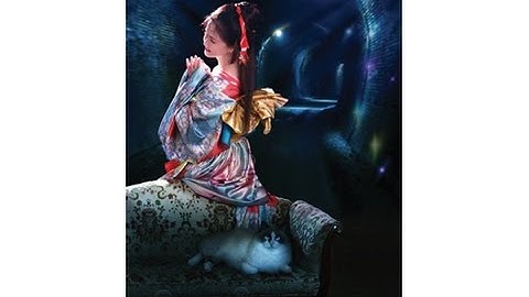 あの人気の舞台をスクリーンで！映画『中島みゆき　夜会VOL.18 「橋の下のアルカディア」　－劇場版－』予告編