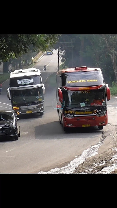 Adu mekanik adu gengsi adu mental adu tenaga !! Bus sugeng rahayu vs bus budiman