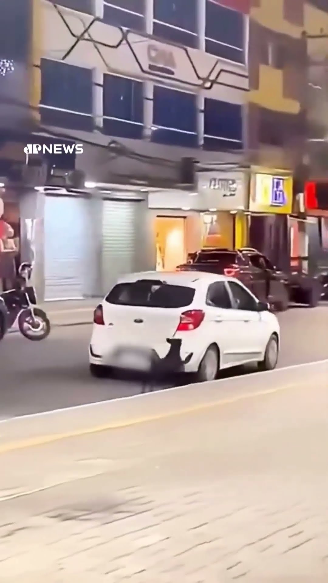 Polícia investiga abandono de cachorro no Rio de Janeiro. Veja o momento do crime #shorts