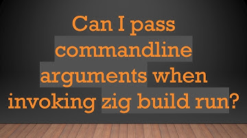 Can I pass commandline arguments when invoking zig build run?
