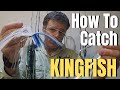 How to catch KINGFISH | King Mackerel Basics & Tactics