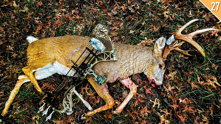 HUNTING LOCKED DOWN BUCKS in the Rut (11 Yard SHOT!)