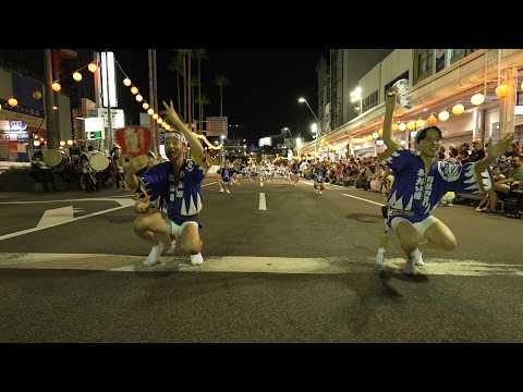 20260815 葵連 太閤連 合同 徳島阿波おどり 新町橋演舞場