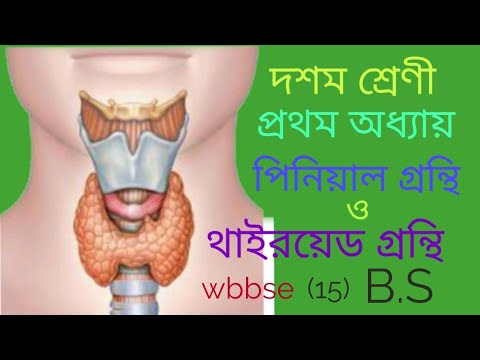 ভিডিও: মেয়েটির পাইনাল গ্রন্থির টিউমার ধরা পড়ে এবং তারপর তার সাথে অদ্ভুত ঘটনা ঘটে