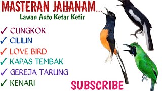 MASTERAN BURUNG TERBAIK CUNGKOK CILILIN LOVE BIRD KAPAS TEMBAK GEREJA TARUNG KENARI PLUS JEDA AIR