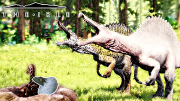 The Isle - SPINO PROGRESSION, NEW NESTING UPDATE, NEW MAP CHANGES & EPIC BAIT KILL ( Gameplay )