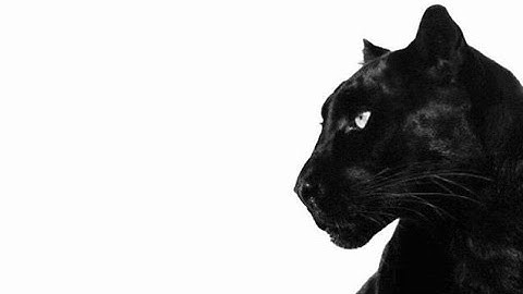 этот саблиминал – залог идеального учебного года