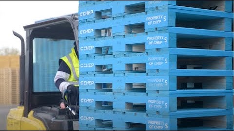 Investing in high quality CHEP wooden pallets and sustainable pooling model in New Zealand