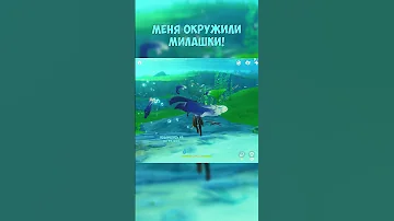 Меня окружили милашки... (выдры) ►Фог GENSHIN IMPACT 4.0 #shorts #геншинимпакт