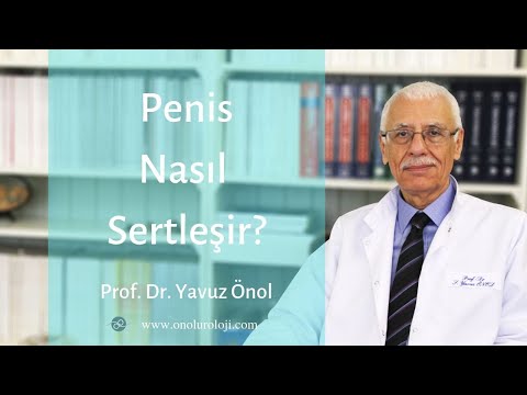 Penis Nasıl Sertleşir? - Prof. Dr. Yavuz Önol