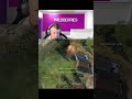 #танки #миртанков #worldoftanks