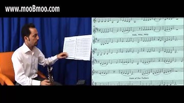 mooBmoo com Clarinet E013