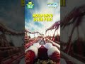 Merry Christmas | Nicco Park