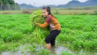 Harvesting water spinach and bamboo shoots that grow naturally in the forest to sell at the market