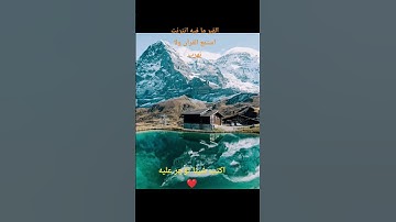 تلاوه خاشعه للشيخ ماهر المعيقلي 🤍 #قرآن_كريم #اكسبلور #المصحف #quran #ماهر_المعيقلي #تلاوة_خاشعة