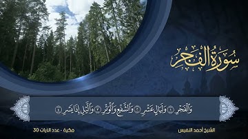 89   سورة الفجر   الشيخ أحمد النفيس