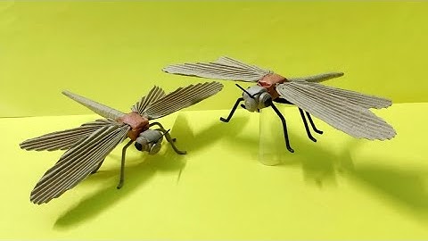 How To Make Dragonfly With Cardboard
