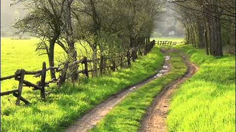 خواتيم سورة البقرة بصوت فارس عباد