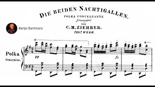 Carl M. Ziehrer - The Two Nightingales Polka, Op. 128 (1869)
