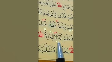 سورة محمد الأية 18 إلى 19 بصوت سعد الغامدي