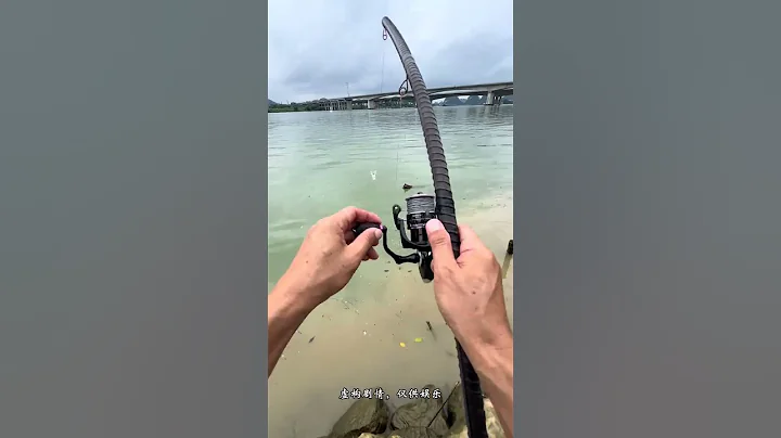 Fishing big fish with cabbage. Fishing. Only fishermen understand the fun of fishing. Fishermen