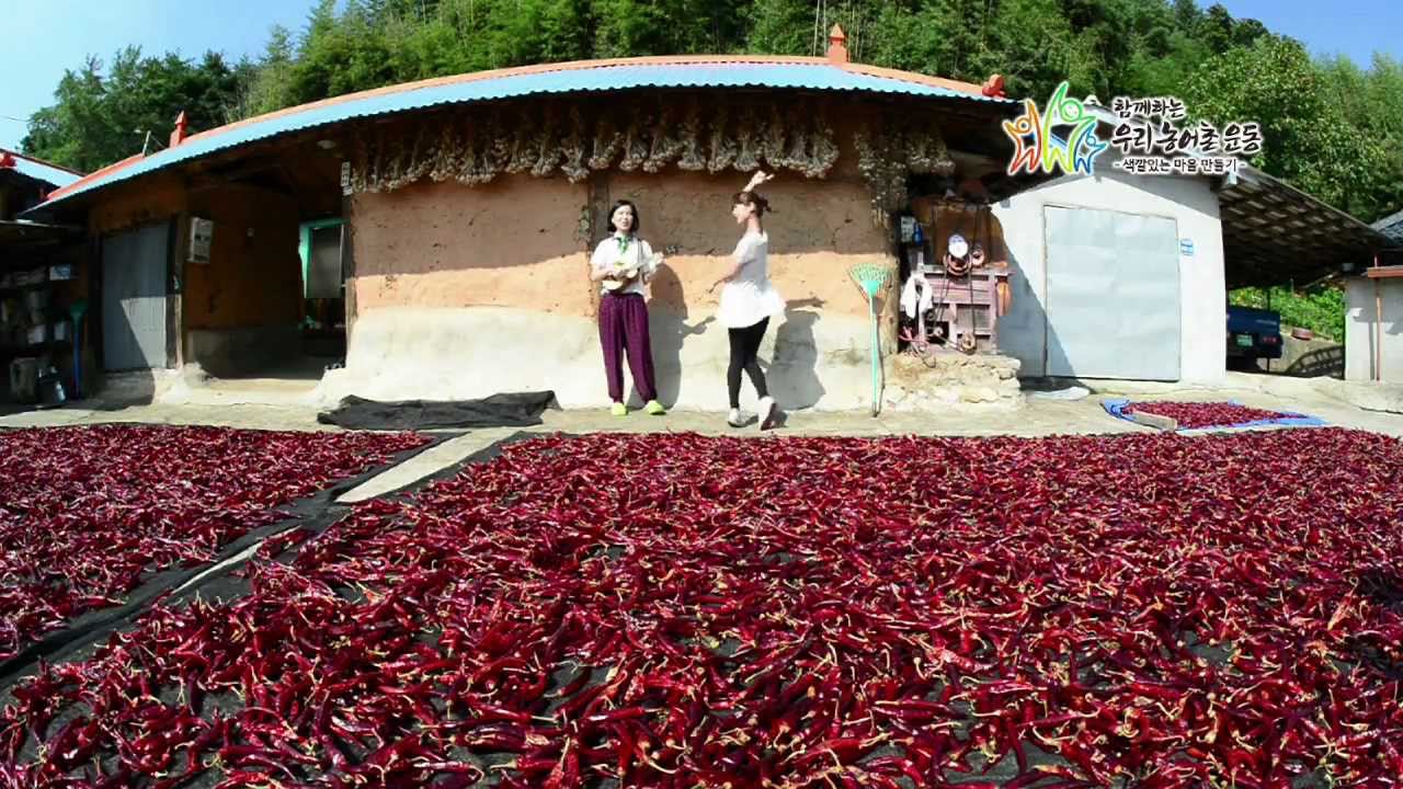 마을 음악을 만나다 '충남청양 가파마을' 김샛별 '막춤' - YouTube