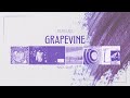 【Playlist】GRAPEVINE