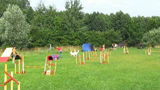 Agility A0 28.07.2012