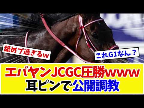 Jockey Club Gold Cup] Forever Young wins overwhelmingly, but his