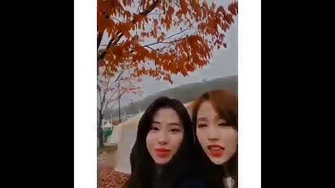 181107 TWICE Chaeyoung & Mina TWICETAGRAM Update 트와이스