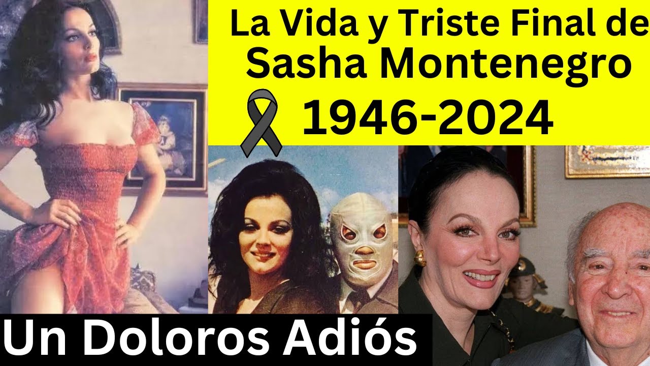 La Vida y El Triste Final de Sasha Montenegro