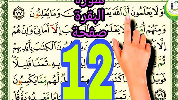 سورة البقرة surat albaqara صفحة 12 #ناظم_الإبراهيمي