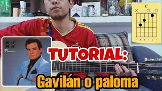 COMO TOCAR GAVILÁN O PALOMA DE JOSÉ JOSÉ EN GUITARRA | TUTORIAL