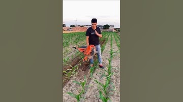 Small rechargeable micro-tillage machine # Electric weeding trenching machine #modernfarmer