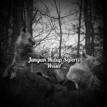 Story WA Sindir Keras