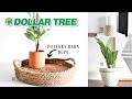 3 QUICK and EASY Dollar Tree DIY Room Decor Ideas (No Skills Needed!)