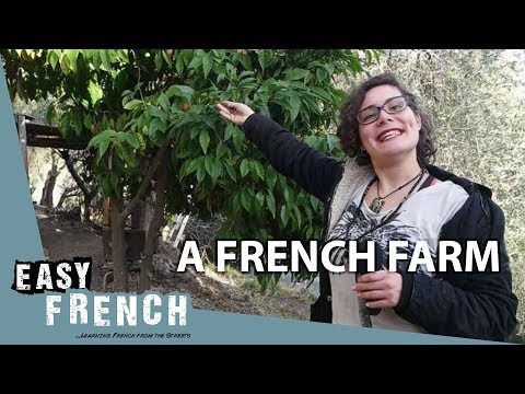 A French Farm