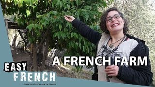 A French Farm (1) | Super Easy French 20