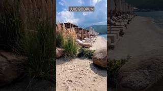 LUJO HOTEL BODRUM / TURKEY - amazing beach #lujobodrum #shorts #hotel