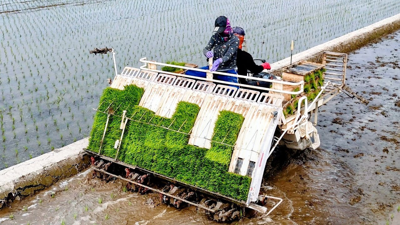 26/1/27~六甲龜子港~場地好飛~好旋轉~努力的飛~快樂的飛😂