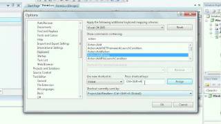 Customizing Environment Options
