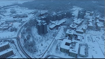 SNOW at JAIST 20190126